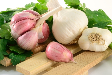 garlic supplements