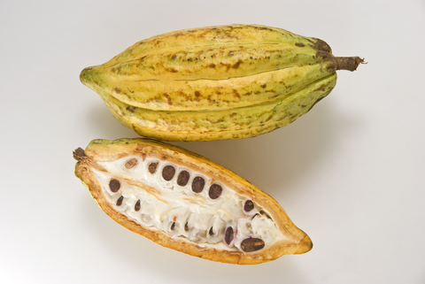 Cacao Fruit benefits