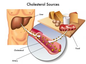 cholesterol-lowering supplement