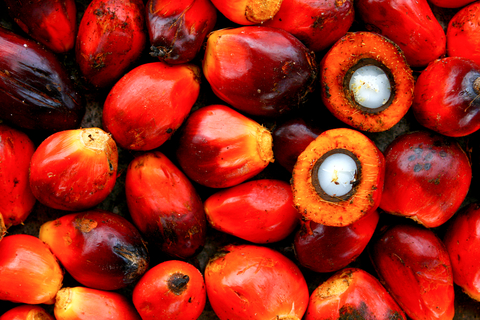 Red Palm Oil Benefits