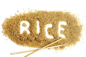 whole grain rice protein